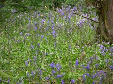 dscn5230.jpg