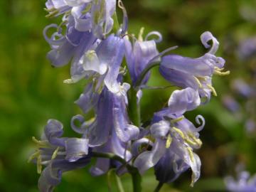 dscn5235.jpg