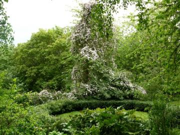 dscn5273.jpg