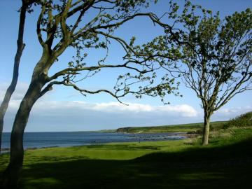 dscn5368.jpg