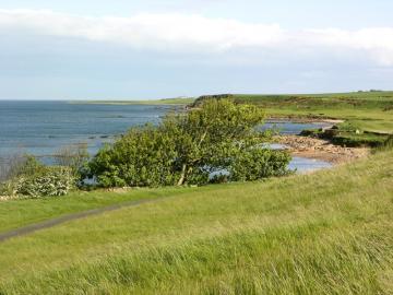 dscn5370.jpg