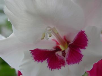 dscn6273.jpg