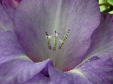 dscn6275.jpg