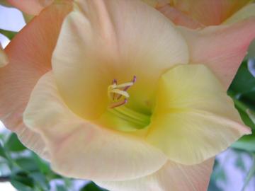 dscn6282.jpg