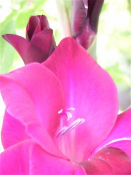 dscn6288.jpg