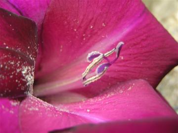 dscn6307.jpg