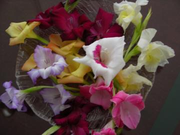 dscn6394.jpg