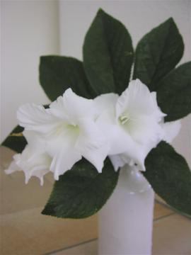 dscn6397.jpg