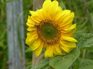dscn0312.jpg