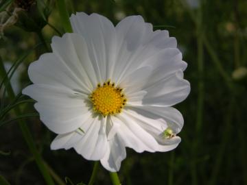 dscn1289.jpg