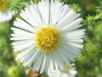 dscn1301.jpg