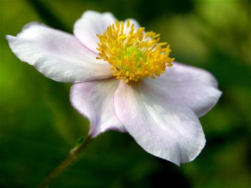 dscn4484.jpg