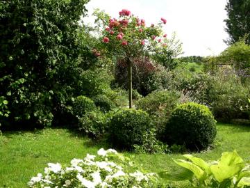 dscn6485.jpg