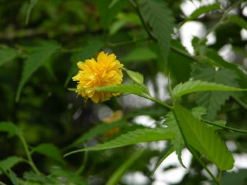 dscn6538.jpg
