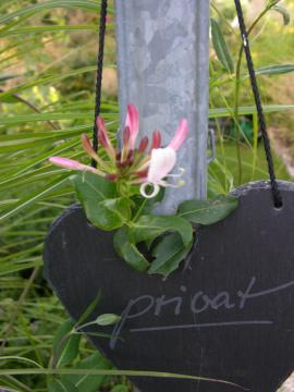 dscn6710.jpg