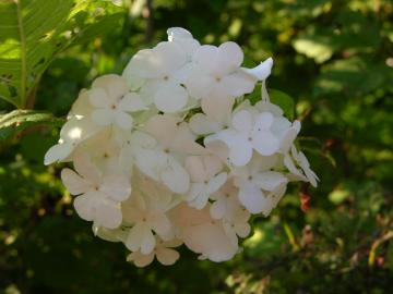 dscn6721.jpg