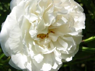dscn6840.jpg