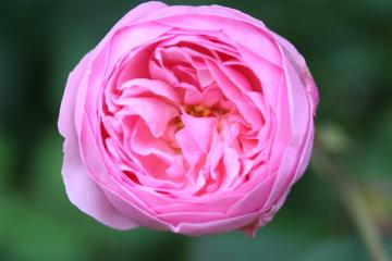img_9573.jpg