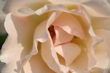 img_9642.jpg