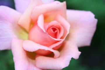 img_9665.jpg