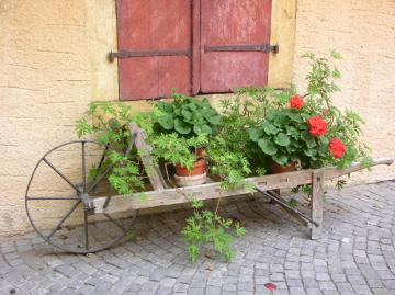 dscn7507.jpg