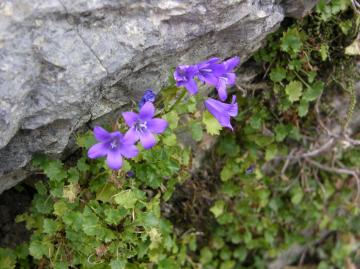 dscn7821.JPG