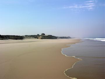 dscn3365.jpg