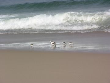 dscn3368.jpg
