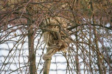 _mg_1186.jpg