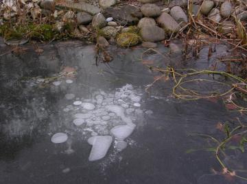 dscn8257.jpg