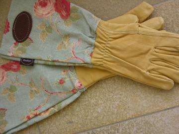 dscn8446.jpg