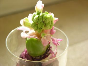 dscn8664.jpg