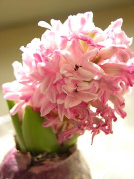 dscn8665.jpg