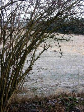 dscn8705.jpg