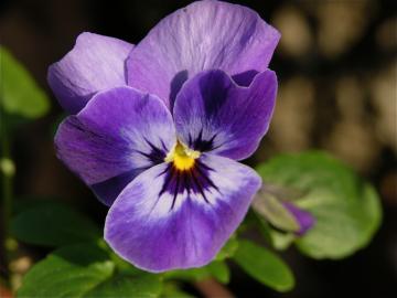 dscn8856.jpg