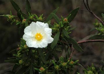dscn8925.jpg