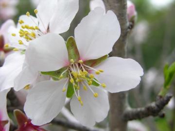 dscn9020.jpg