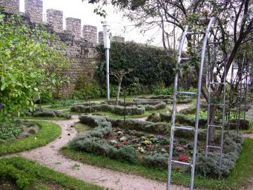 dscn9070.jpg