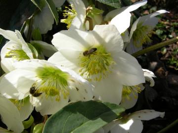 dscn9125.jpg