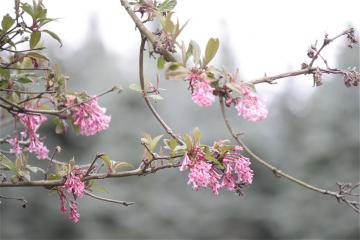 _mg_1601.jpg