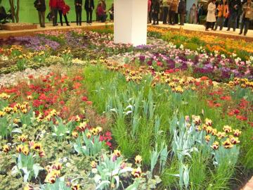 dscn9508.jpg