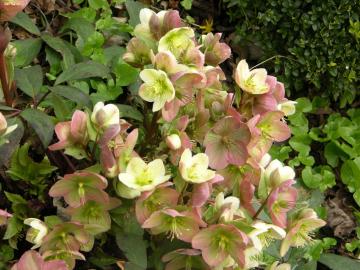 dscn9602.jpg