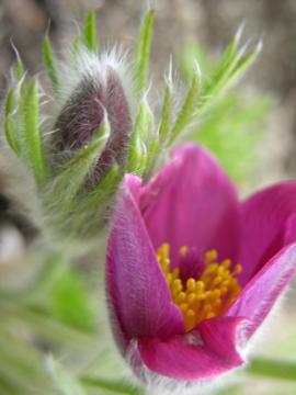 dscn9791.jpg