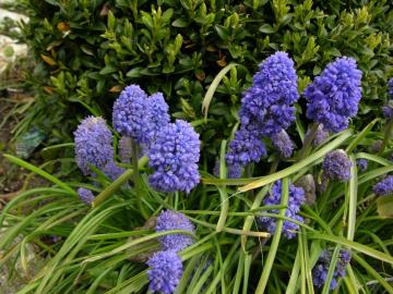 dscn9796.jpg