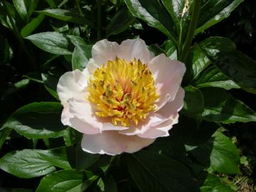 dscn0283.jpg