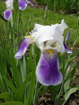dscn0321.jpg
