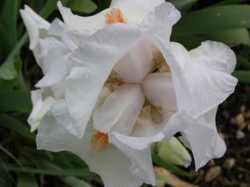dscn0324.jpg