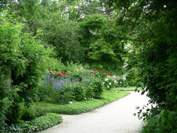 dscn0359.jpg