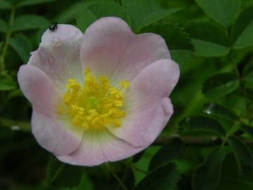 dscn0943.jpg