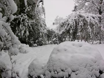 dscn3562.jpg
